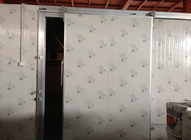Soğuk Oda / Tek Yaprak İçin Otomatik Tip Soğuk Depo Sürgülü Kapılar 100mm Kalınlık