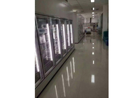 Tıp dondurucu için özelleştirilmiş boyutlu soğuk depolama kapıları / cam kapı