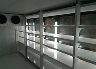 Dondurucu Odası Geri Yükleme Ekran Yürümek, Led Işık Endüstriyel Soğuk Oda