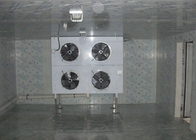 Soğuk Oda / Soğuk Depo için Özelleştirilmiş Kuru Tip Evaporatör Soğutma Parçaları