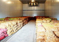 43kg / m³ Yalıtım PU Paneli ile Sebze Veya Meyve Soğuk Depo Odası